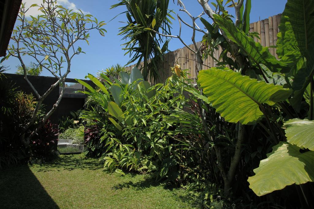 Dugul Ubud Ubud (Bali) Room photo