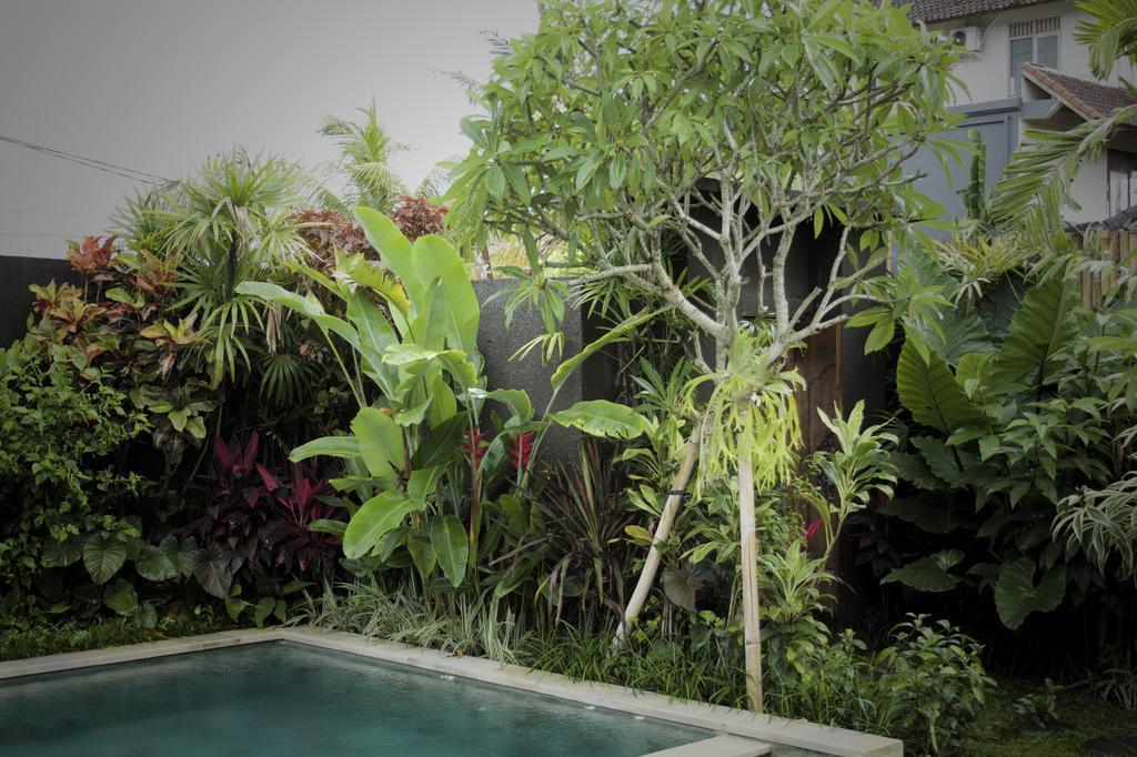 Dugul Ubud Ubud (Bali) Room photo
