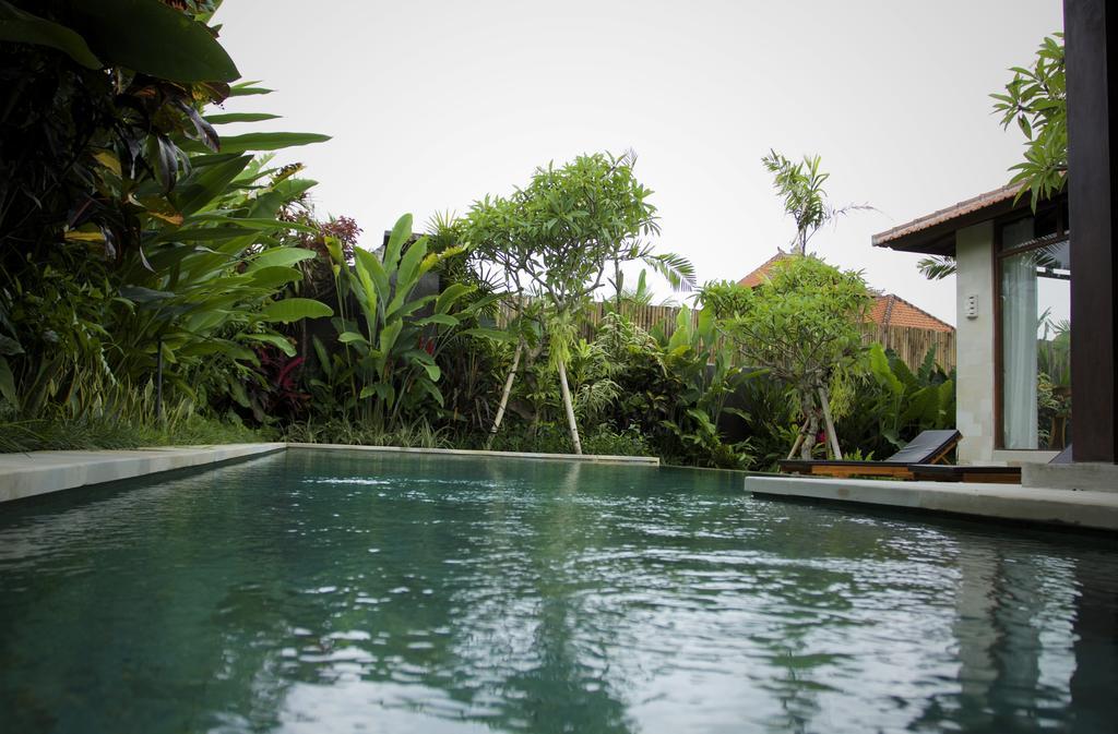 Dugul Ubud Ubud (Bali) Room photo