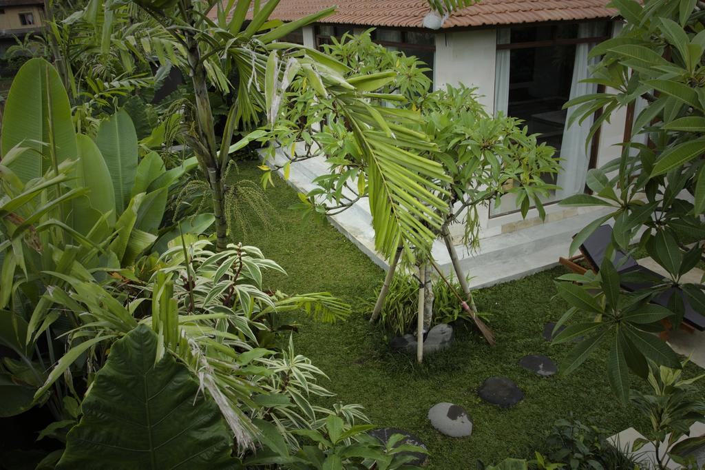 Dugul Ubud Ubud (Bali) Room photo
